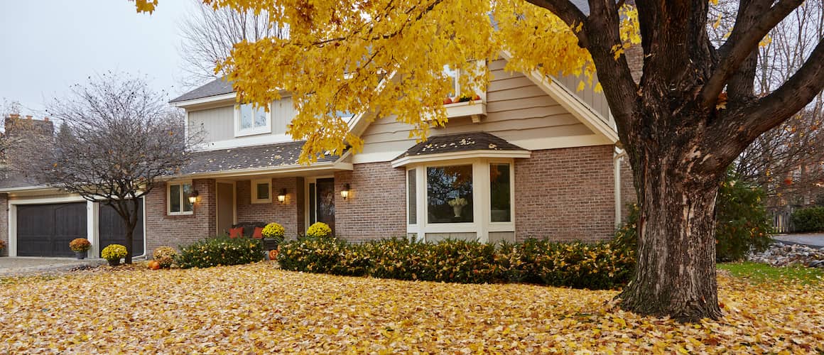 what do home loan lenders look for